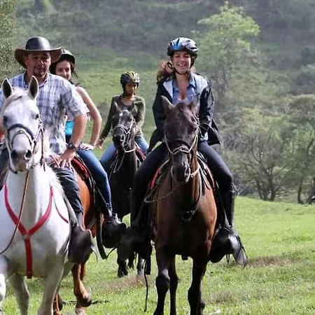 Indoor Swimming Pool Vacation Toslak